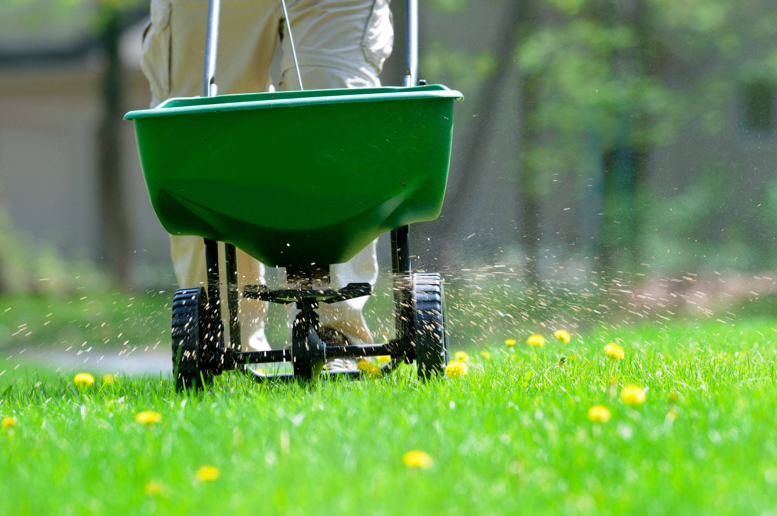 Lawn Care Programs