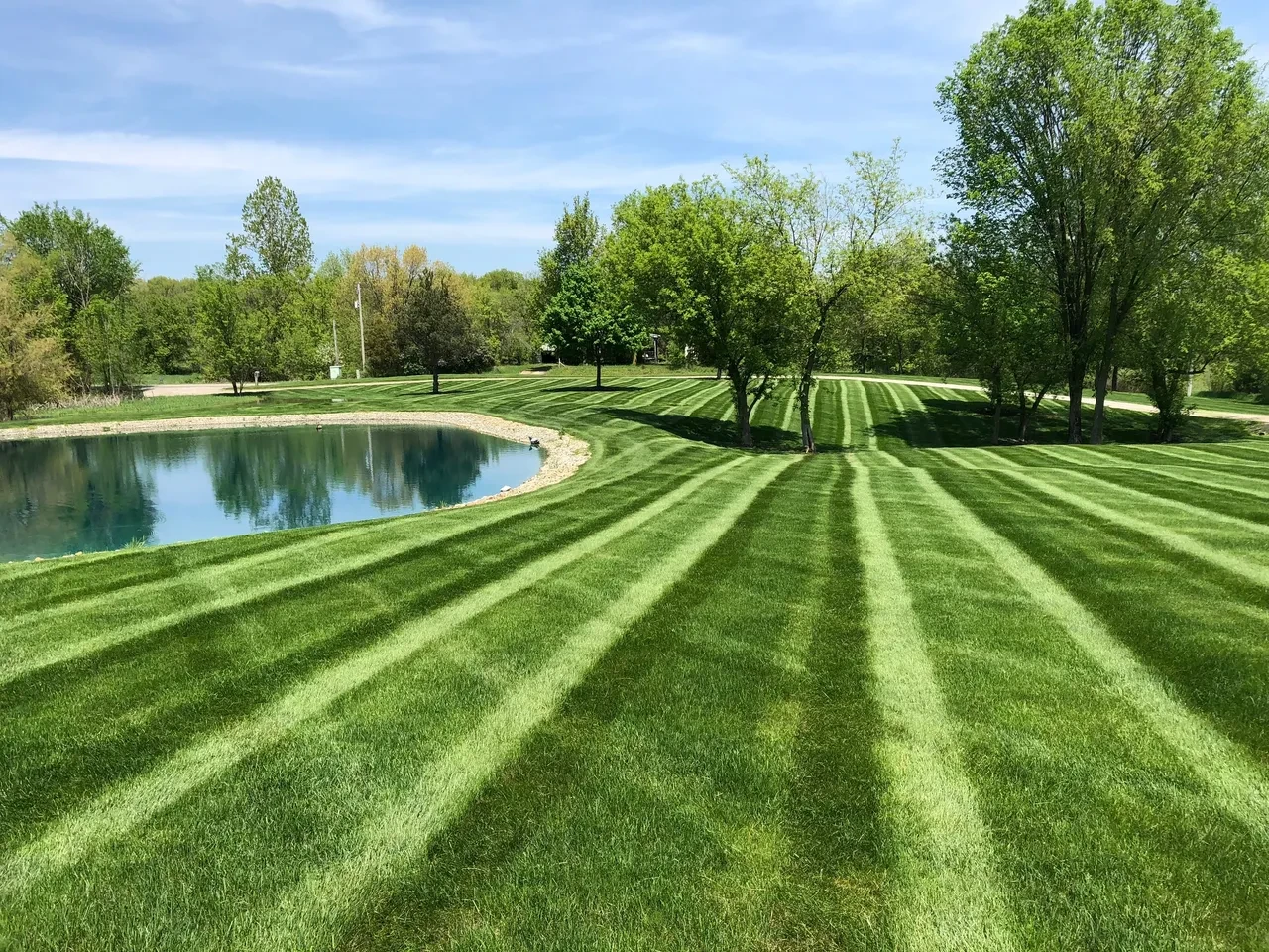 Lawn Maintenance