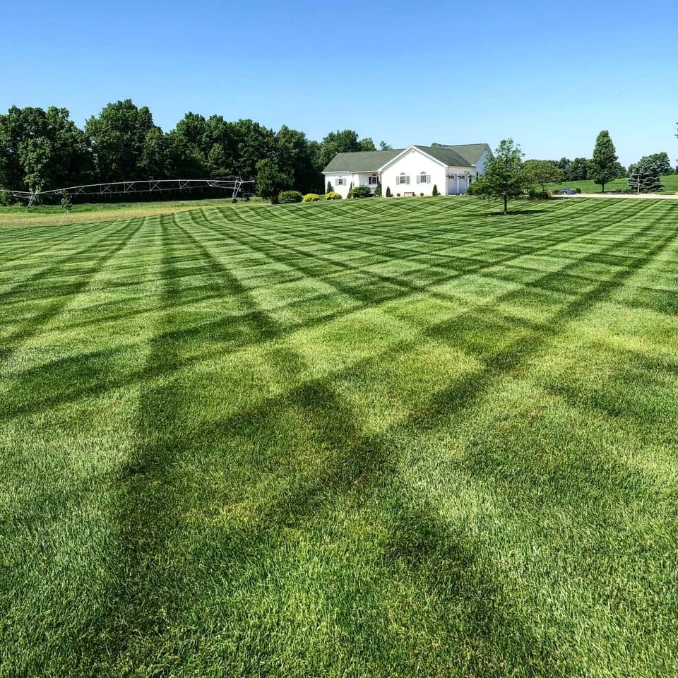 Freshly mowed lawn stripes