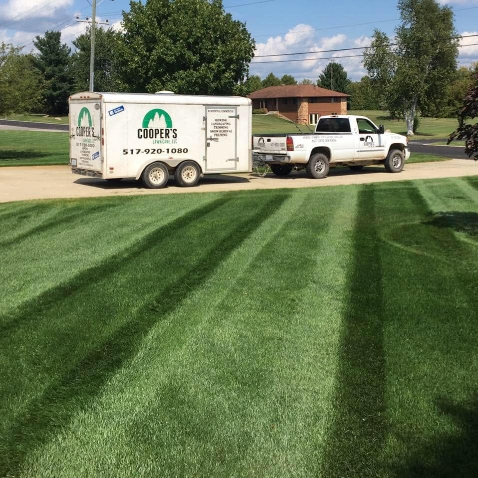 Beautiful green lawn