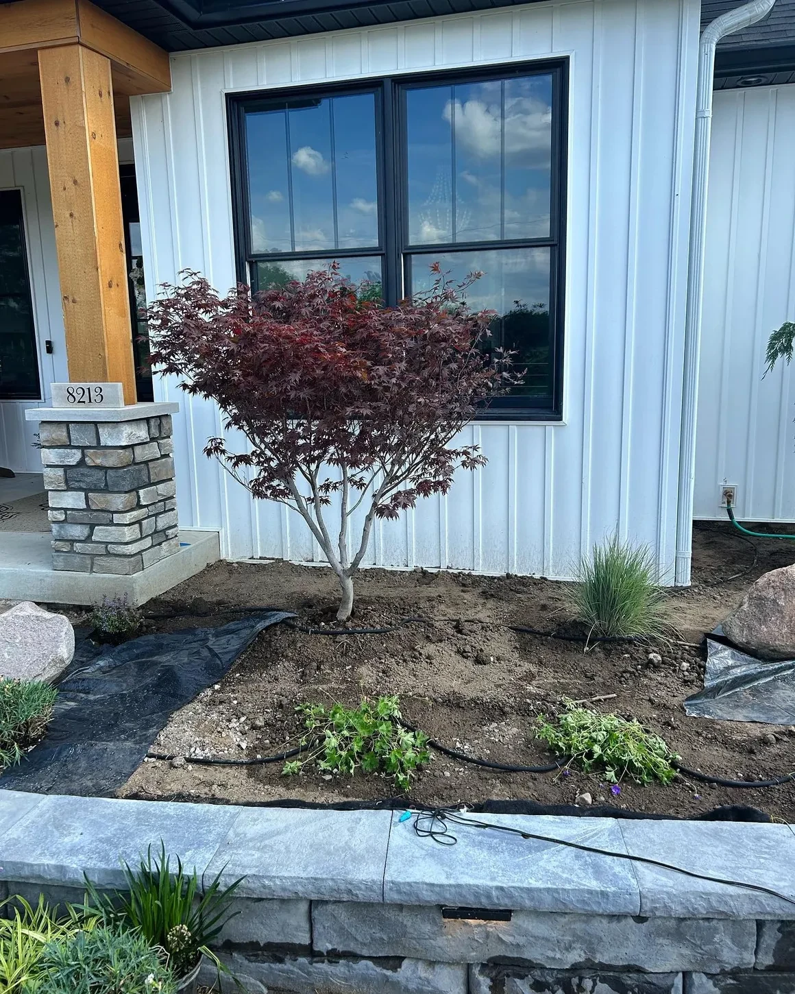 Perennial garden bed blooming