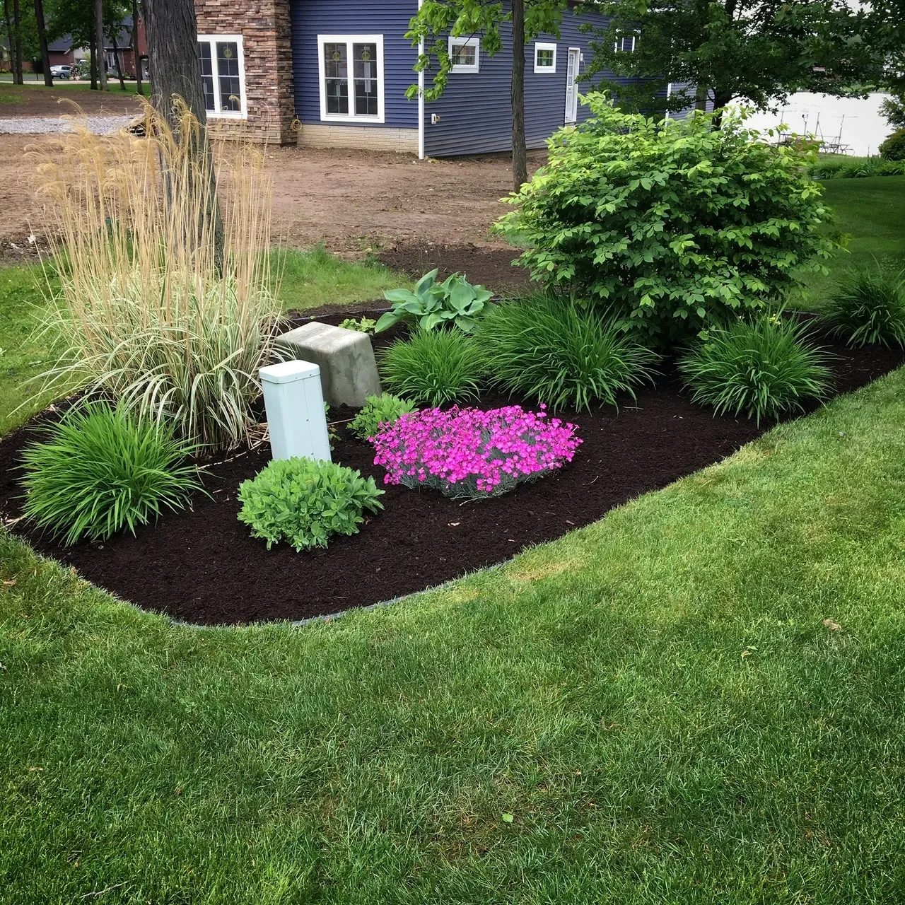 Native pollinator garden