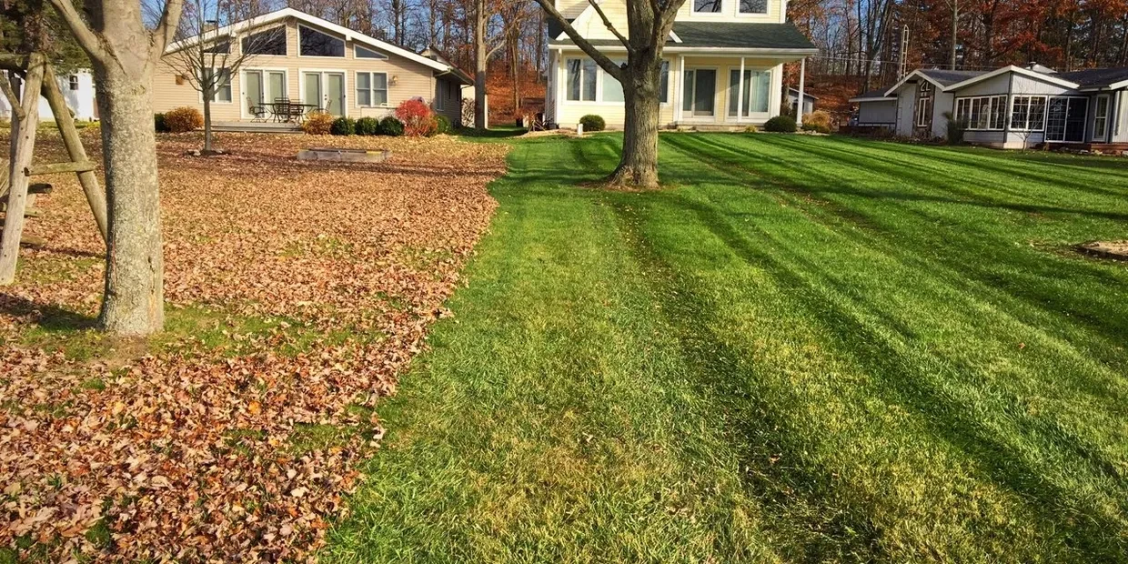 Landscaper spring cleanup